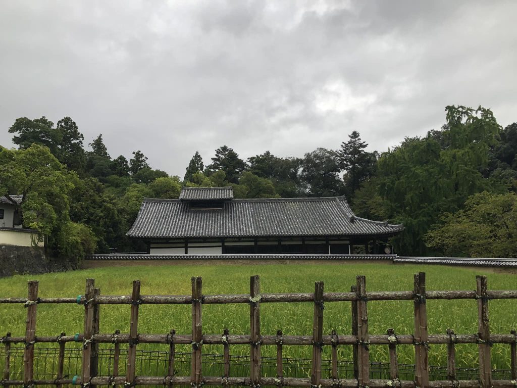 東大寺の境内にある田んぼ